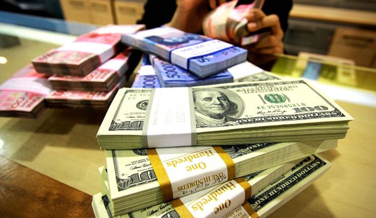 Pengertian Valuta Asing