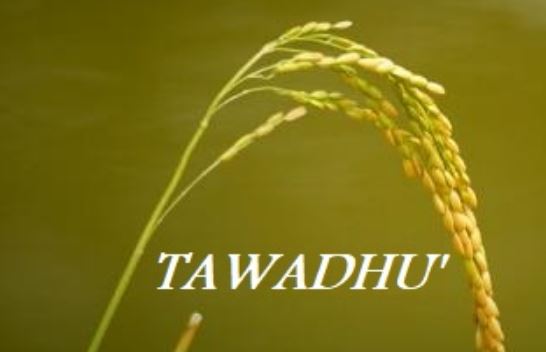 Mengenal arti tawadhu