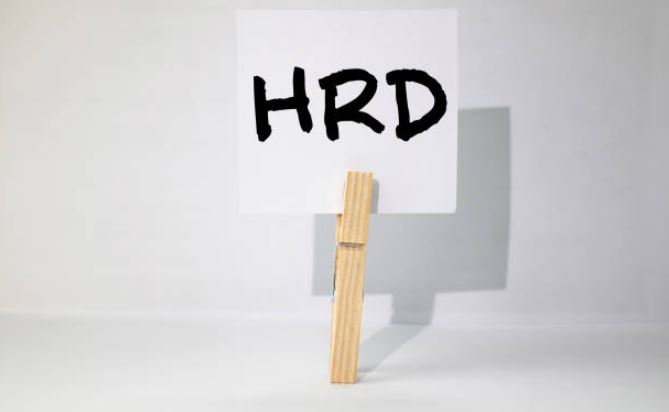 Langkah-langkah HRD dalam merekrut karyawan